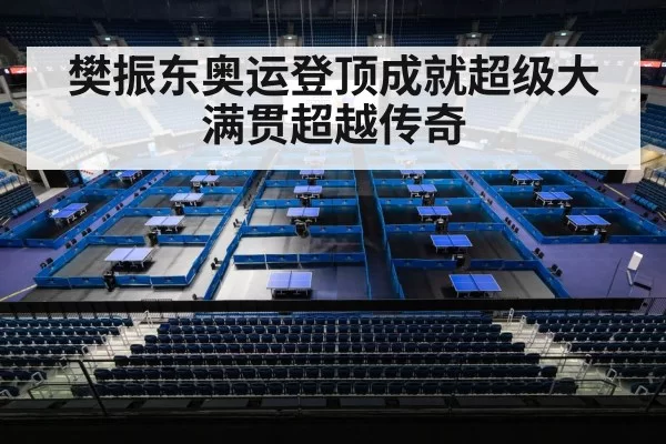 Olympic table tennis final